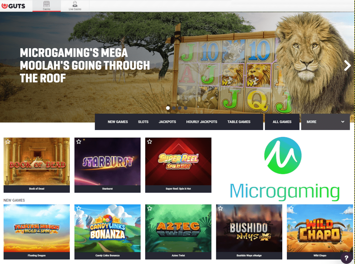 Deutsche Microgaming Casinoseite